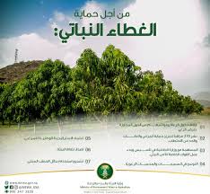 Dec 20, 2020 · شركة المياه الوطنية هي شركة سعودية مساهمة مملوكة بالكامل لصندوق الاستثمارات العامة، وتقدم خدمات المياه والصرف الصحي، وتعمل على خدمة عملائها بأسلوب مميز وراقي من خلال ربط المنازل بشبكات المياه والصرف الصحي وتأمين. ÙˆØ²Ø§Ø±Ø© Ø§Ù„Ø¨ÙŠØ¦Ø© ÙˆØ§Ù„Ù…ÙŠØ§Ù‡ ÙˆØ§Ù„Ø²Ø±Ø§Ø¹Ø© Pa Twitter ØªØ¹Ø± Ù Ø¹Ù„Ù‰ Ø¬Ù‡ÙˆØ¯ Ø§Ù„ÙˆØ²Ø§Ø±Ø© Ù„ØªÙ†Ù…ÙŠØ© Ø§Ù„ØºØ·Ø§Ø¡ Ø§Ù„Ù†Ø¨Ø§ØªÙŠ Ø§Ù„Ø·Ø¨ÙŠØ¹ÙŠ
