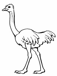 Dibujo De Avestruz Las imagenes de avestruz para colorear son ideales para que los hijos despierten esa creatividad artistica. idibujos