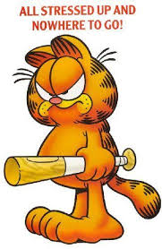 Managing Stress According To Garfield 1 Garfield Quotes Garfield Cartoon Grumpy Cat I get the feeling he was trying to pave the way for. garfield quotes garfield cartoon