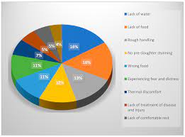 Animal abuse in malaysia statistic. Animals Free Full Text Asian Livestock Industry Leaders Perceptions Of The Importance Of And Solutions For Animal Welfare Issues Html
