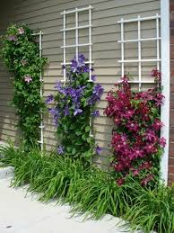 Here S A Simple Yet Pretty Idea That Utilizes Creeper Vines Http Www Freshdesignpedia Com Garden Design Climbing Flowers Backyard Landscaping Flower Garden