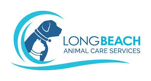 Our neighbors with a park seasonal pass invited me to a morning hike at the el dorado park, located practically alongside the 605 freeway with traffic zooming by. Pets For Adoption At Long Beach Animal Care Services In Long Beach Ca Petfinder