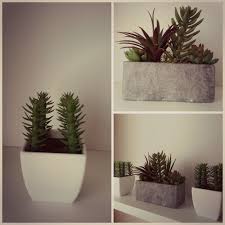 Entre y conozca nuestras increíbles ofertas y promociones. Pequenas Plantas Artificiales Pueden Ser Un Muy Buen Toque Para Decorar Algunos Espacios De Tu Hogar Ademas De Que No N Plantas Artificiales Plantas Proyectos