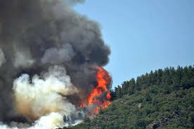 We bring you turkey fire news coverage 24 hours a day, 7 days a week. Forest Fires Break Out As Turkey Experiences Hottest Days Turkey News