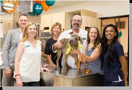 Banfield pet hospital general information. Banfield Pet Hospital Careers Jobs Zippia