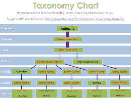 Taxonomy is the study of the classification and scientific naming of living things. 06 01 Classification Of Living Organisms Or Unicellular Like Yeast Ppt Download