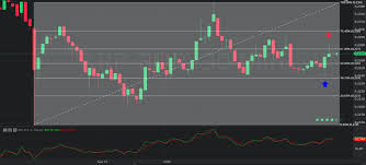 chart of the day 21 november 2019 xrp eur 30 minutes