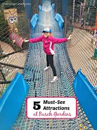 Busch Gardens Tampa My Family S 5 Must See Attractions Busch Gardens Tampa Busch Gardens Florida Travel