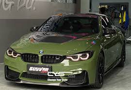 Image result for Light Green Gloss 1908 Military