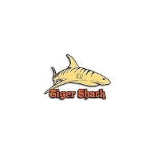 If you want a detector that works great in salt water and is reliable i would recommend the sand shark. Tesoro Tiger Shark Metal Detector With 10 Search Coil Serious Metal Detecting
