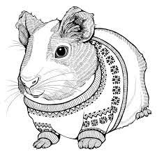 Just click on one of the thumbnails to request them. Christmas Guinea Pig Coloring Page Free Printable Coloring Pages For Kids