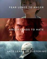 Fear leads to panic, panic leads to pain Pain leads to anger, anger leads  to hate Danny Nedelko