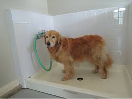 Maybe you would like to learn more about one of these? Pin By Petprojekt On Modernmutt Dog Washing Station Cheap Dog Houses Diy Dog Wash