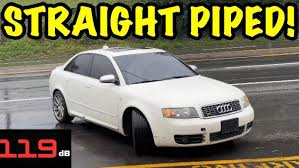 Image result for Arctic White 2004 A4