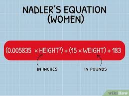 Image result for Blood Volume