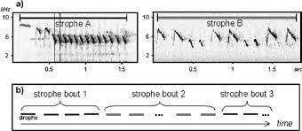 Cela concerne les quatre strophes de la nouvelle invocation. A Sonograms Of Two Types Of Strophes From A Male Blue Tit The Download Scientific Diagram