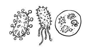 Gambar hitam putih kura kura untuk di warnai foto gambar gif. Tutorial Cara Menggambar Virus Dg Detail Part 2 Youtube