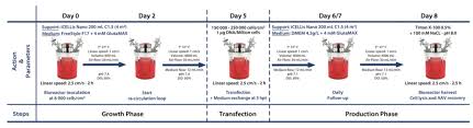 Scalable Viral Vector Upstream Process For Aav Gene Therapy