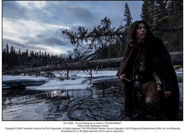 The Revenant (2015) - IMDb