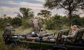Are you dreaming of trip to kenya are you wondering how you can find the best tours and safest safari tours in kenya? African Safari Tours African Safari