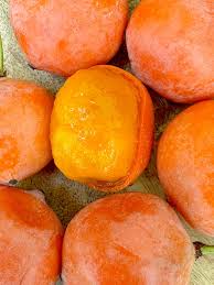 Image result for Garcinia livingstonei