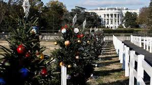 Florence High School To Create Ornament For National Christmas Tree In Washington D C