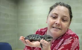 Wildlife rescue course at TAFE