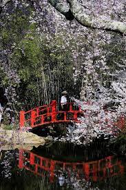 Untitled Japanese Landscape Japan Garden Japanese Garden