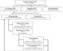 flowchart showing assignment of cows to treatment groups n