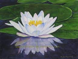 Water Lily Flower Art Print Flower Pinting White Flower Watercolor Home Decor Gift For Her Tropical Li Water Lilies Art Lily Painting Water Lilies Painting