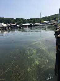 Usgs Studies Water Quality And Harmful Algal Bloom On Lake