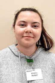 Central Lyon interns partner with Avera