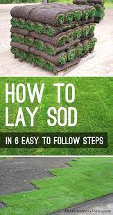 How To Lay Sod In 6 Easy To Follow Steps The Garden Glove How To Lay Sod Diy Lawn Sod Installation