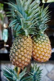 How To Pick A Pineapple Williams Sonoma Taste Pineapple Fruits And Veggies Delicious Fruit