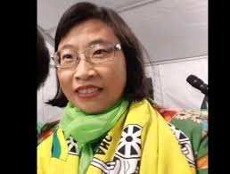 華裔南非人) are overseas chinese who reside in south africa, including those whose ancestors came to south africa in the early 20th century until chinese immigration was banned under the chinese exclusion act of 1904. No Real Anc Activism Background On Xiaomei Havard The Citizen