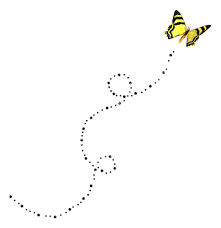 Papillon, vole.. - Blog du PRASMEL