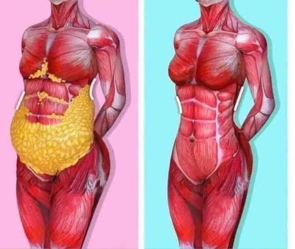 Sự âm thầm và nguy hiểm của mỡ nội tạng | Vinmec