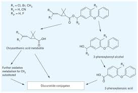 Image result for Pyrethroid