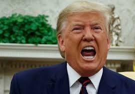 Danish media agree: Rutte's flattery of Trump at the NATO summit wasn't  diplomacy in its purest form — it was diplomacy disguised as praise. A way  to keep Trump appeased, more like