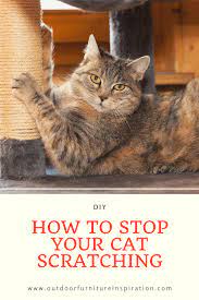 How To Stop Your Cat Scratching And Ruining Your Furniture Cat Scratching Cats Diy Outdoor Furniture