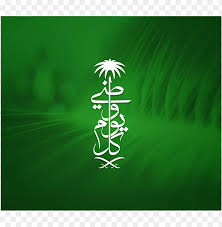 خلفيات اليوم الوطنى السعودى background best stock photos png free png images neon signs image png images