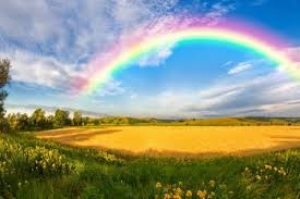 Selalu rindu kat mak dan ayah. Ciptaan Tuhan Terindah 10 Fakta Unik Pelangi Yang Perlu Kamu Ketahui