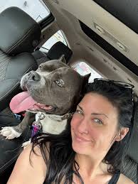 Help us find these poor dumped puppies a home!