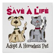 This program has reduced the numbers of pets returned or abandoned after adoption. Adopt A Homeless Pet Poster Zazzle Com In 2021 Homeless Pets Pets Adoption