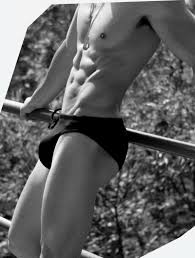 Boy Culture : Covering Hot Men, Gay Issues, Celebrities, Movies, Music &  More: SPEEDOS