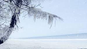 Wann ist die beste reisezeit für australien? Winter In Australien Foto Bild Jahreszeiten Winter Meine Fotos Bilder Auf Fotocommunity