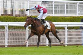 A.lemaitre 02 tudo bem suppl jockey : Hippisme C Etait Une Course De Malade Un Des Jockeys A Auteuil N En Revient Pas Le Parisien