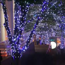 Pin On Christmas Led Strips