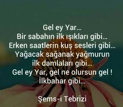 33 Zorlama Degil Askim Mecburiyet Degil Yaninda Kalisim Oz Diyorlardi Hep Meger Benim Ozum Seninde Ozunmus Sana Yar D Guzel Soz Alinti Sozler Alintilar