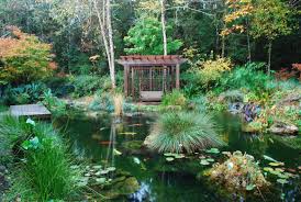 The formula for determining the number of gallons is: Koi Filters Koi Pond Systems With Self Cleaning Filters